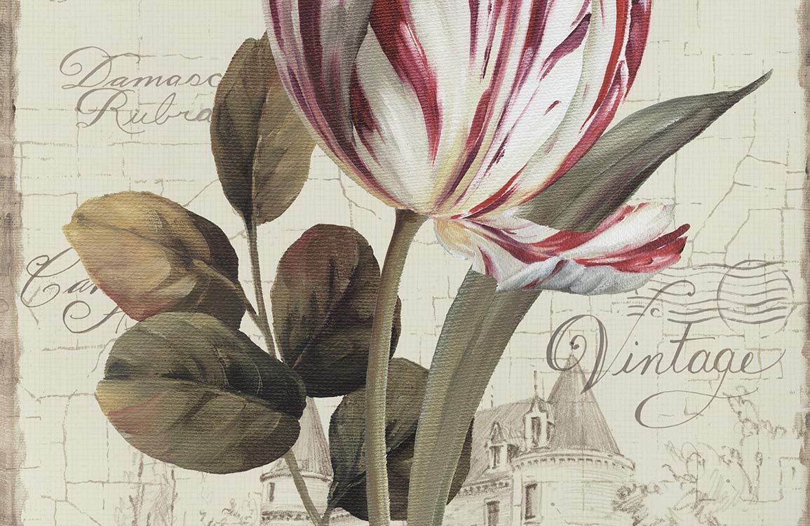 Vintage Floral Tulip Wallpaper Mural with Elegant Script in Cream and Red