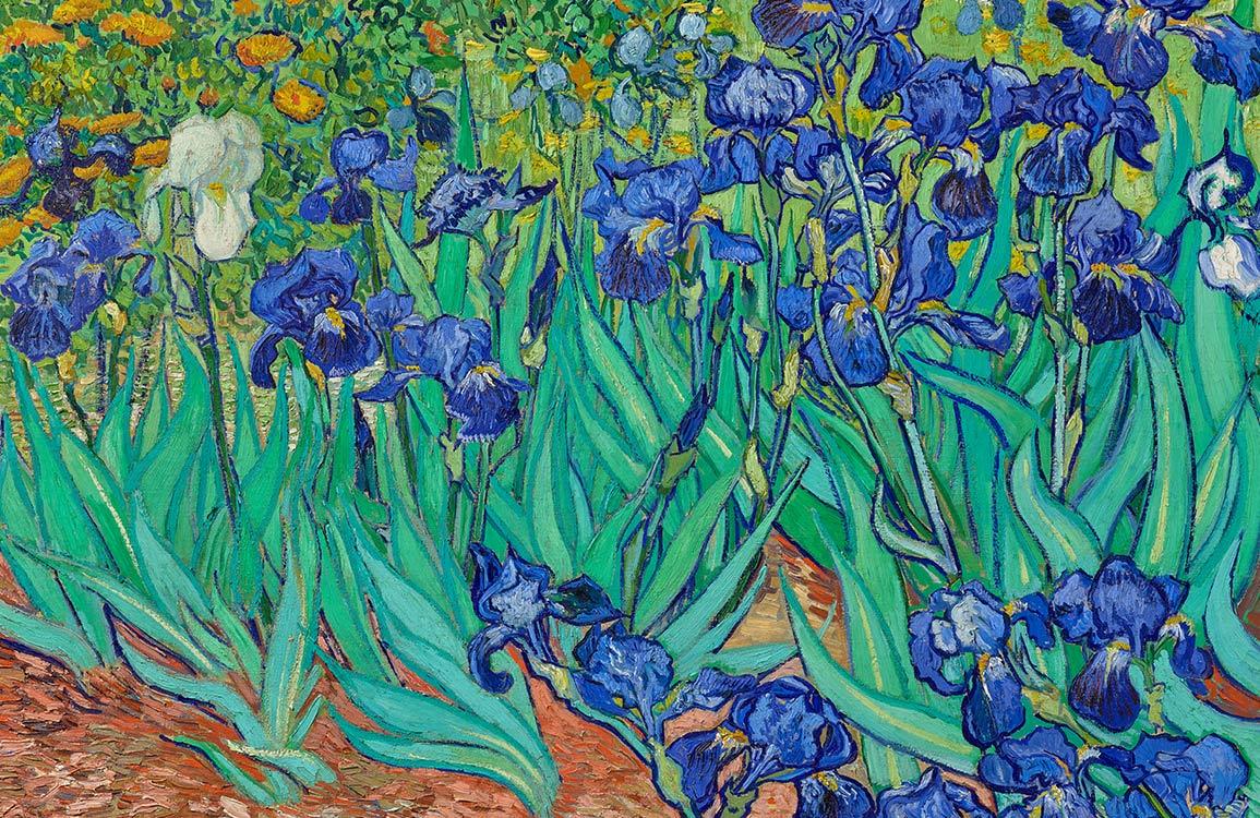 Vibrant Blue Irises Floral Garden Mural Wallpaper - Artistic Nature Design
