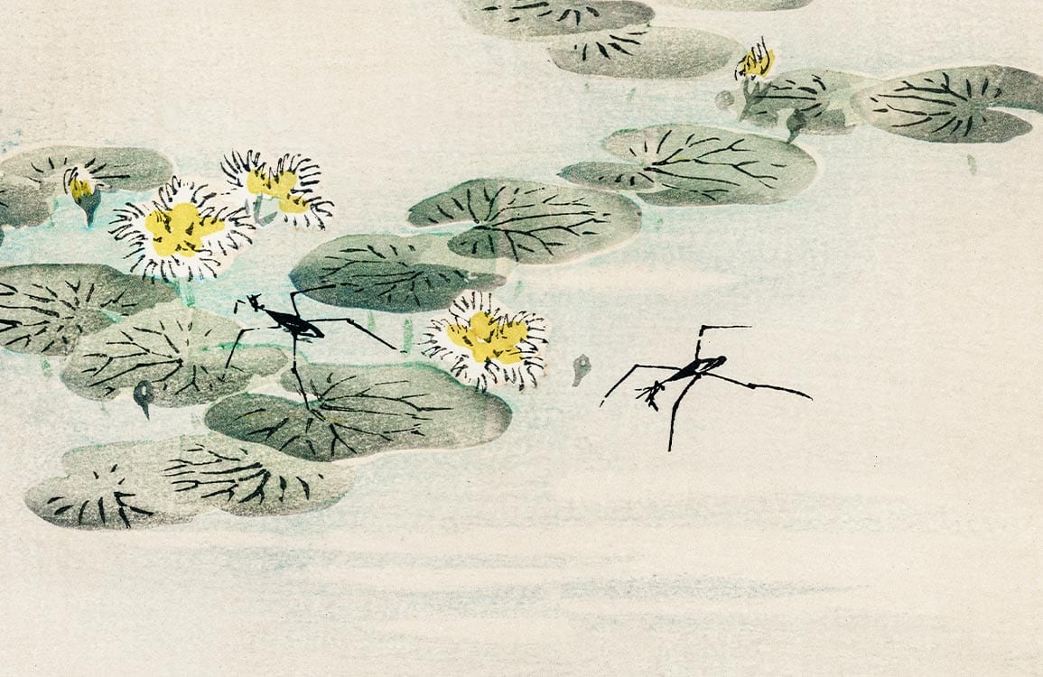 Tranquil Water Lilies and Pond Creatures Pastel Mural Wallpaper Design