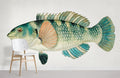 Wrasse Fish Wallpaper Mural