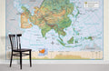 Asia Physical Wallpaper Mural