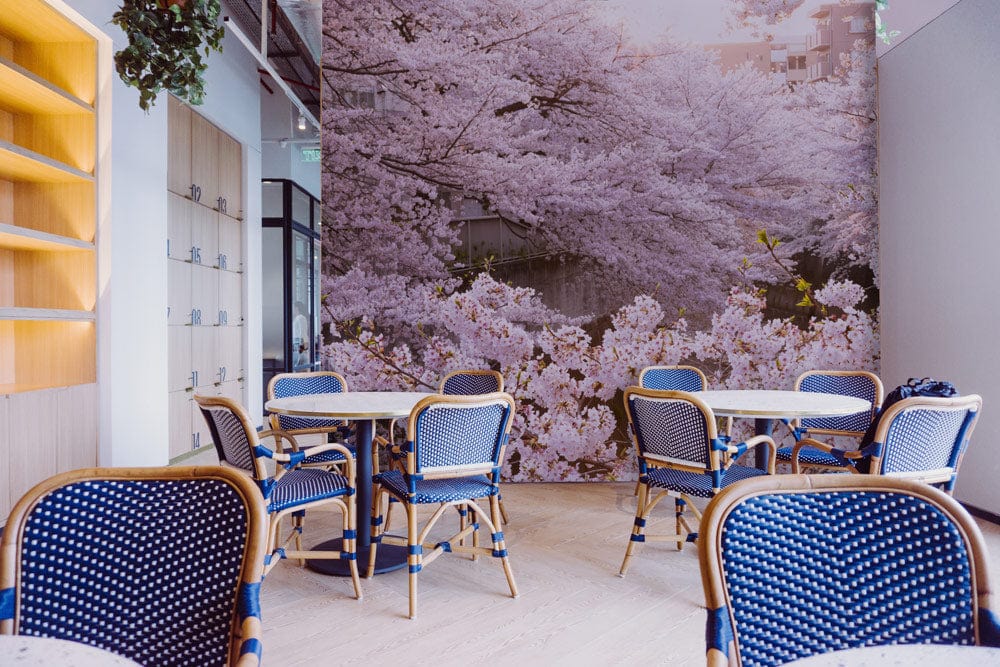 Modern cafe with Elegant Pink Blossom Mural Wallpaper, blue chairs, wooden tables, light flooring, wall shelves.