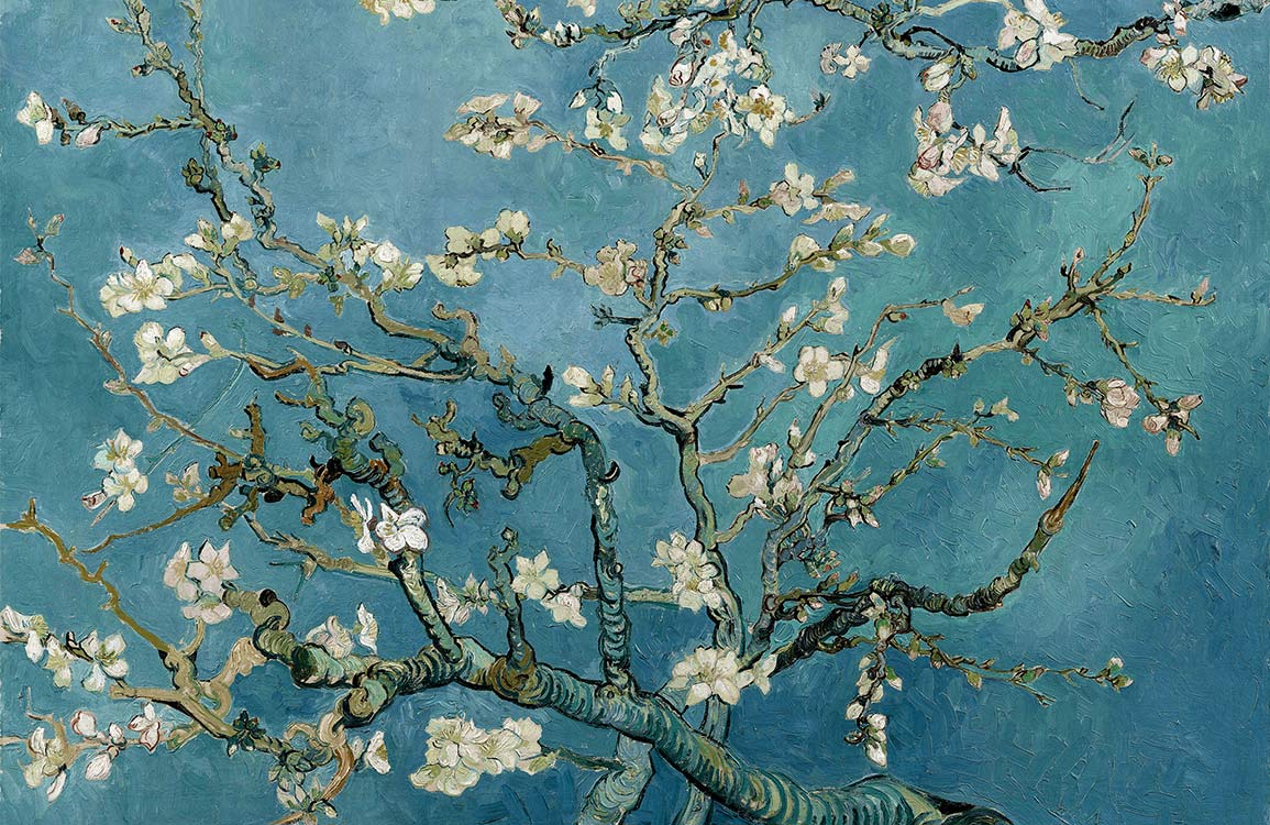 Almond Blossom Wallpaper Mural