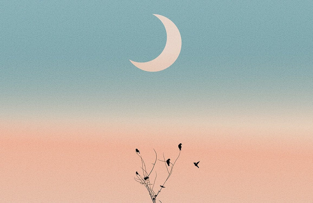 Serene Pastel Sunset Sky with Birds and Crescent Moon Wallpaper