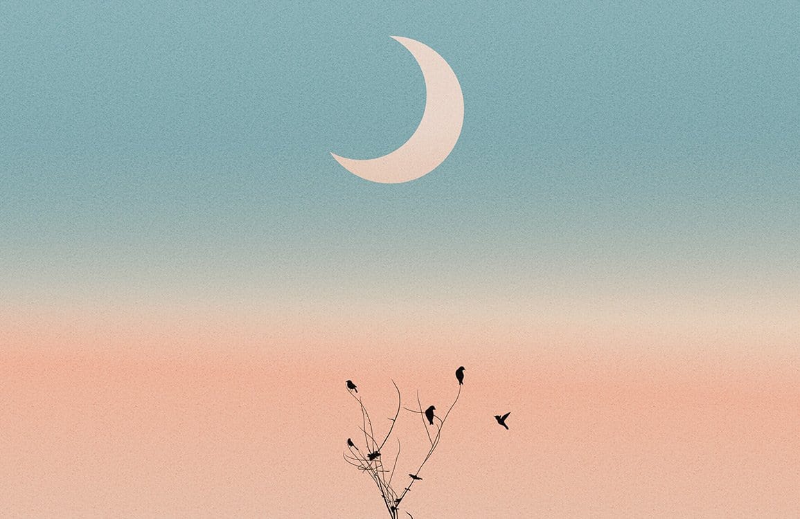 Serene Pastel Sunset Sky with Birds and Crescent Moon Wallpaper