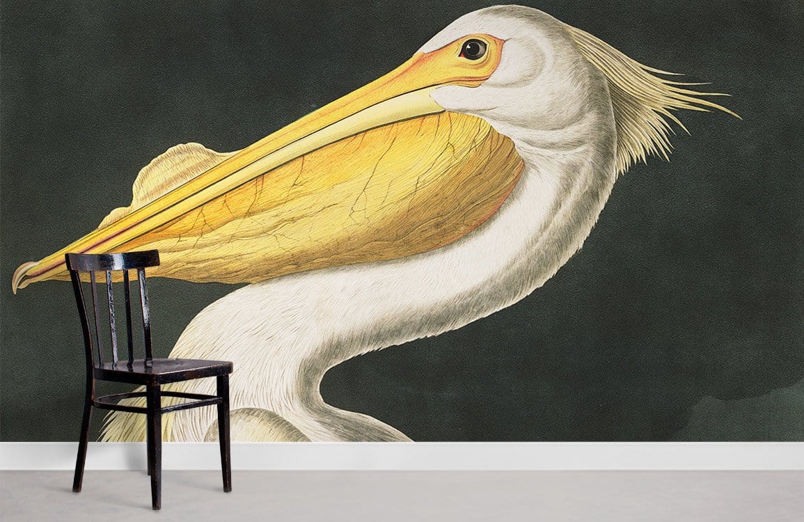 Elegant Vintage Pelican Mural Wallpaper featuring classic wildlife art paired with a dark wooden chair.