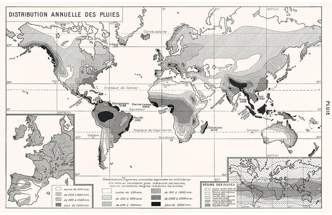 Vintage Monochrome World Map Geographical Print Mural Wallpaper Décor.