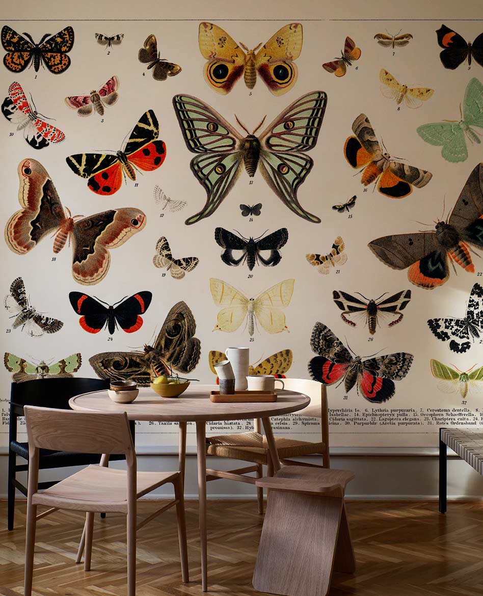 Vintage Moth and Butterfly wallpaper with wooden dining set in stylish, elegant room with parquet flooring.