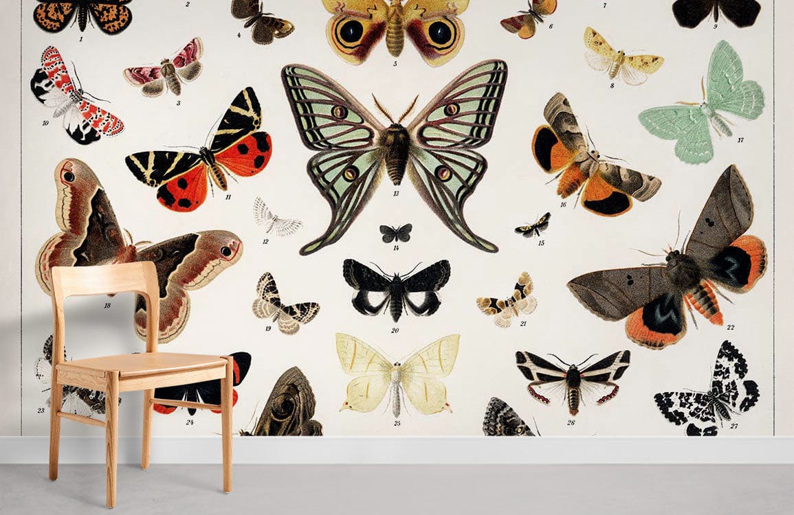 Antique Butterfly & Moth Wallpaper Mural Room