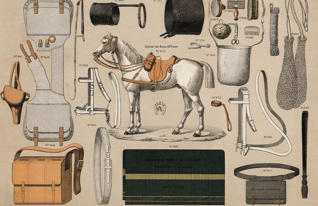 Vintage Equestrian Supplies Illustration Beige Historical Mural Wallpaper Décor