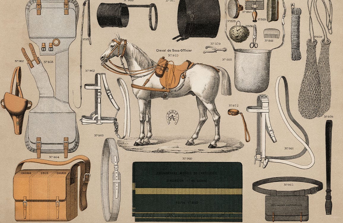 Vintage Equestrian Supplies Illustration Beige Historical Mural Wallpaper Décor