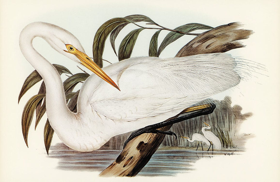 Elegant Heron Vintage Nature Mural Wallpaper in Soft Earth Tones Artwork