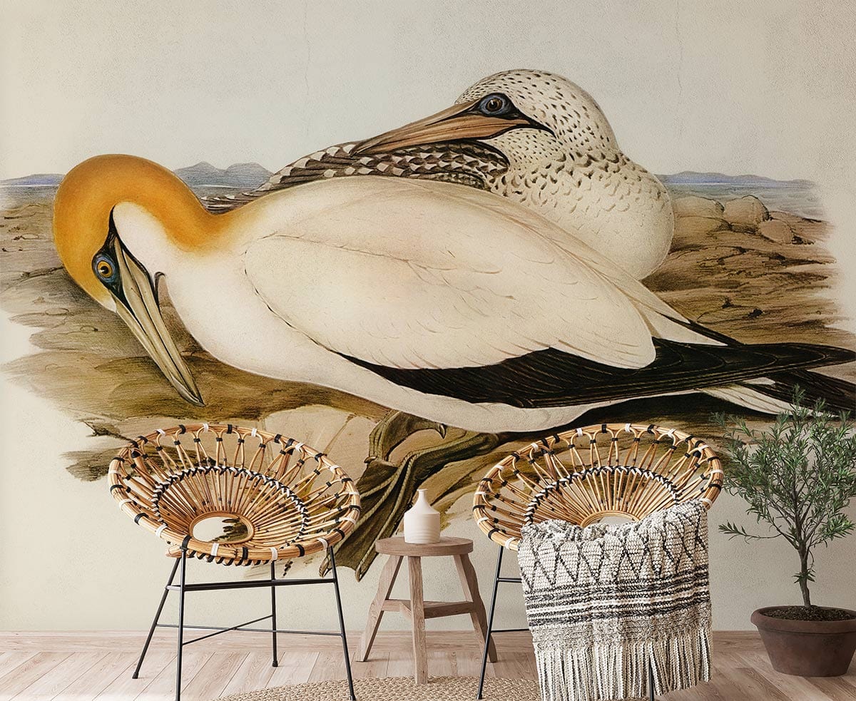 Vintage bird wallpaper with natural hues, wicker chairs, light wood flooring, and modern minimalist decor.