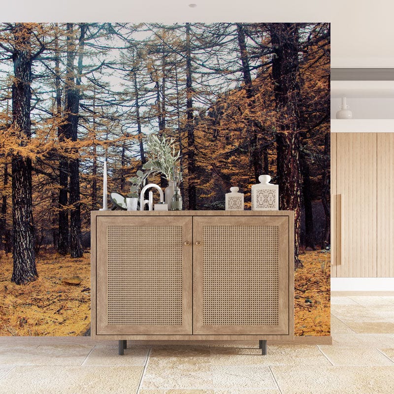 Autumn Forest Path Wallpaper in rustic room; natural wood cabinet, beige flooring, neutral wall colour.