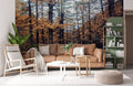 Autumn Forest Road Wallpaper Mural
