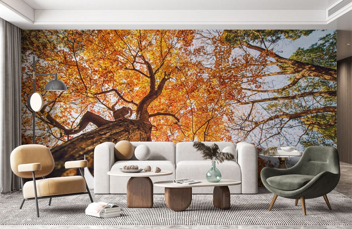 autumn maple sky wallpaper mural geust room decor
