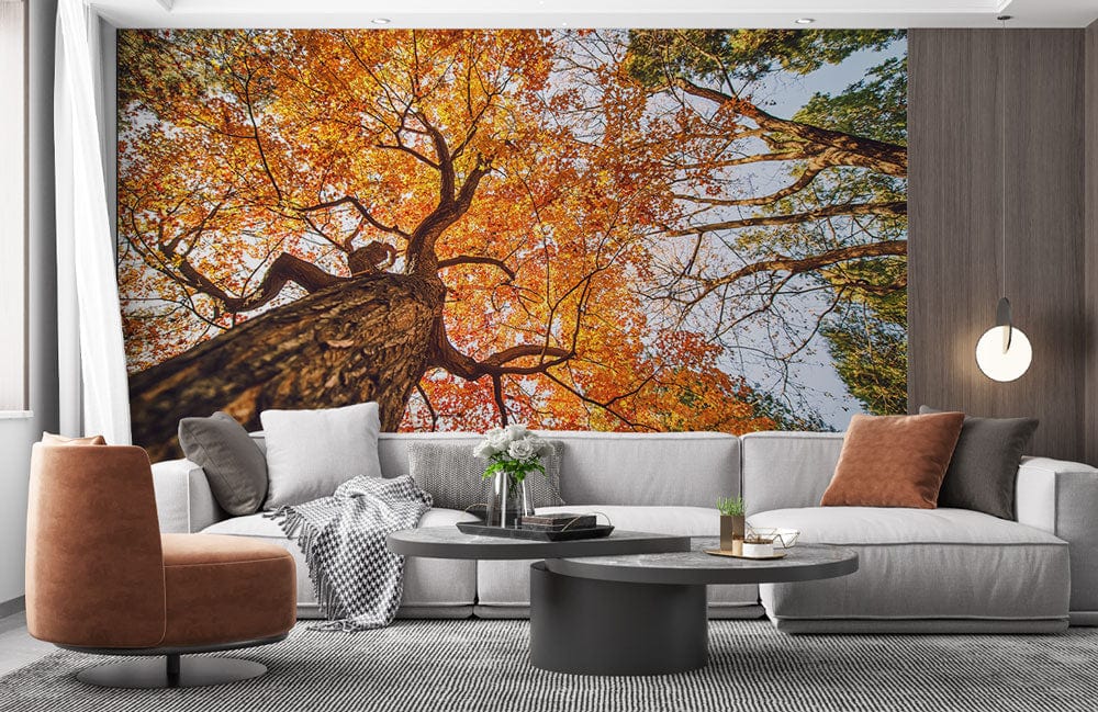 Autumnal canopy mural wallpaper in vibrant forest scene, grey sofa, brown accent chair, modern lounge.