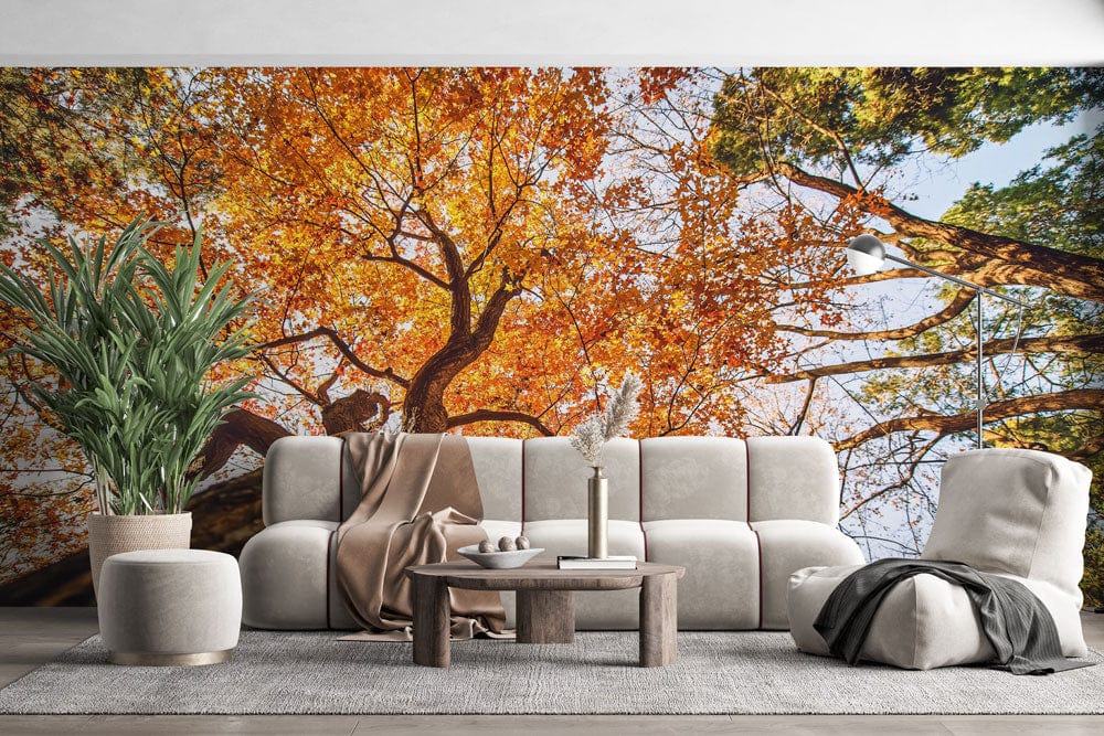Autumnal Canopy Mural Wallpaper, vibrant orange and green forest scene, modern sofa, neutral decor.