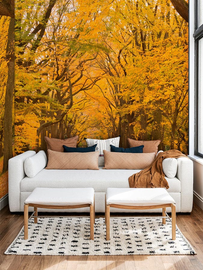 Golden Autumn Forest Path Mural Wallpaper. Cream sofa, wooden flooring, cosy interior setting.