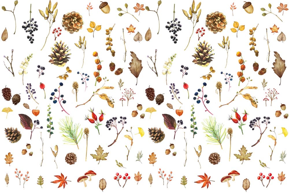 Autumn Plants Collection Wallpaper Mural