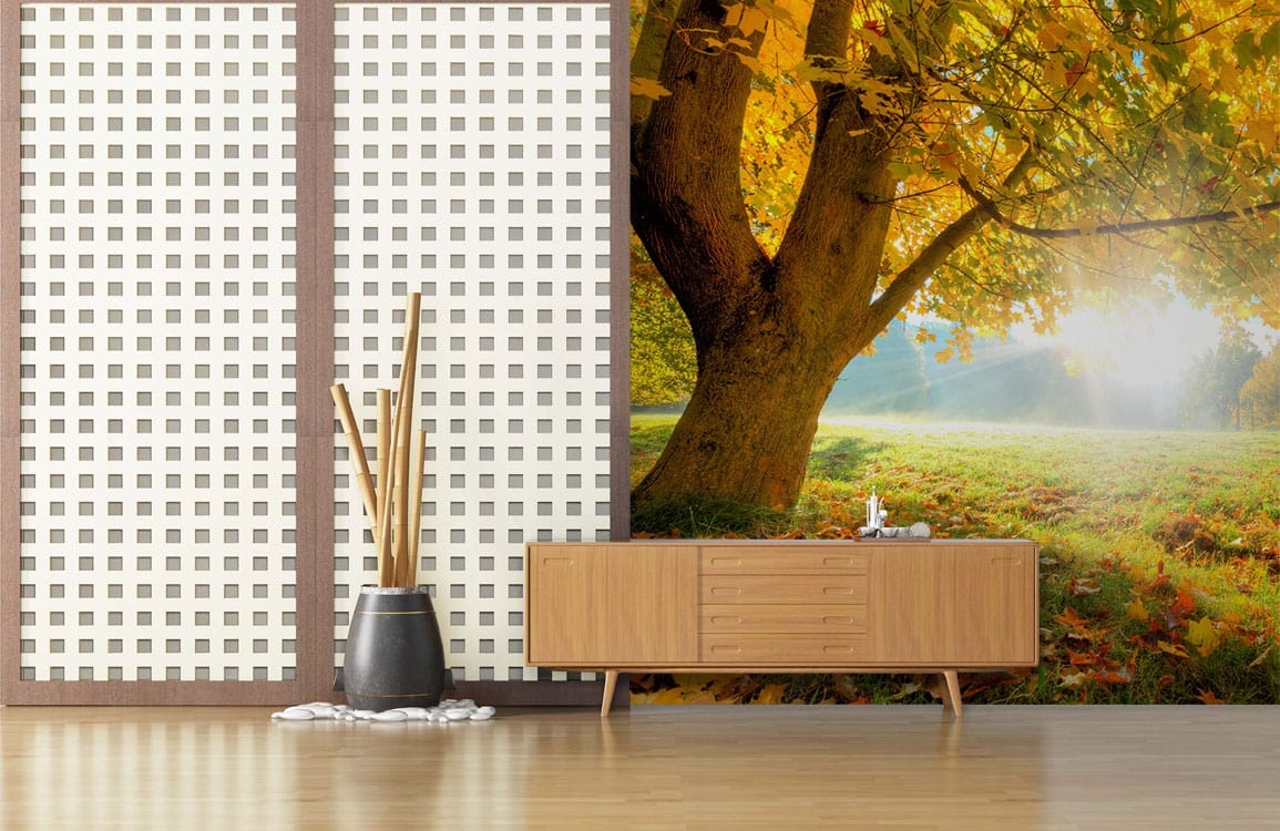 Autumn Sunshine Wallpaper Mural
