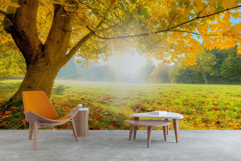 Golden Autumn Sunrise Mural Wallpaper enhances modern living room with grey flooring and stylish orange chair.
