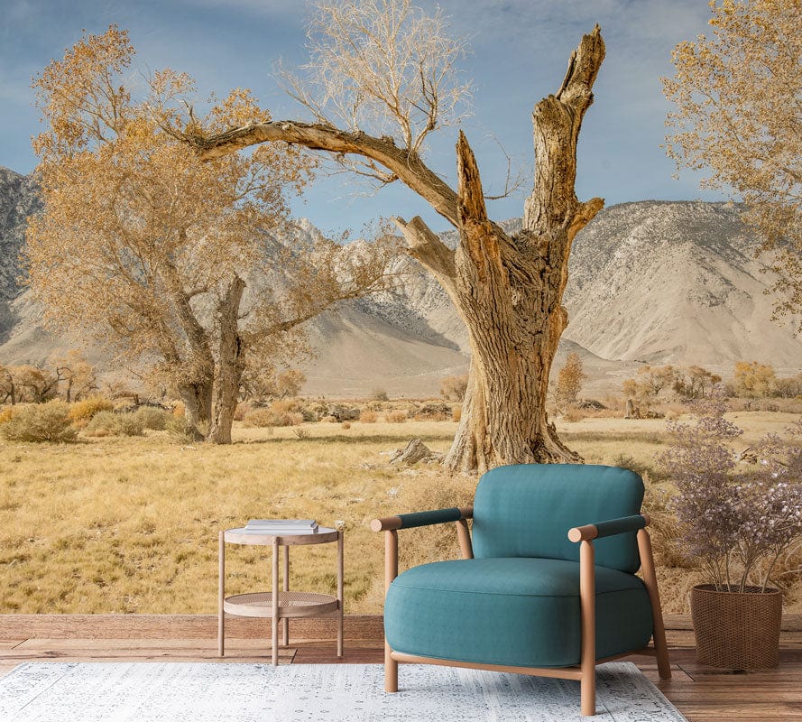 Serene Desert Landscape Wallpaper Mural, earthy tones; teal armchair, light wood flooring, cosy room setting.