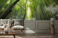 Bamboo Forest Wallpaper Mural