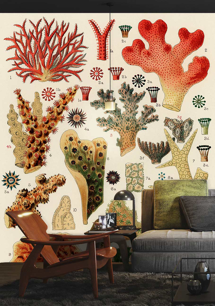 Vintage Coral Botanical Mural Wallpaper in living room, featuring elegant grey sofa, wooden chair, and rug.