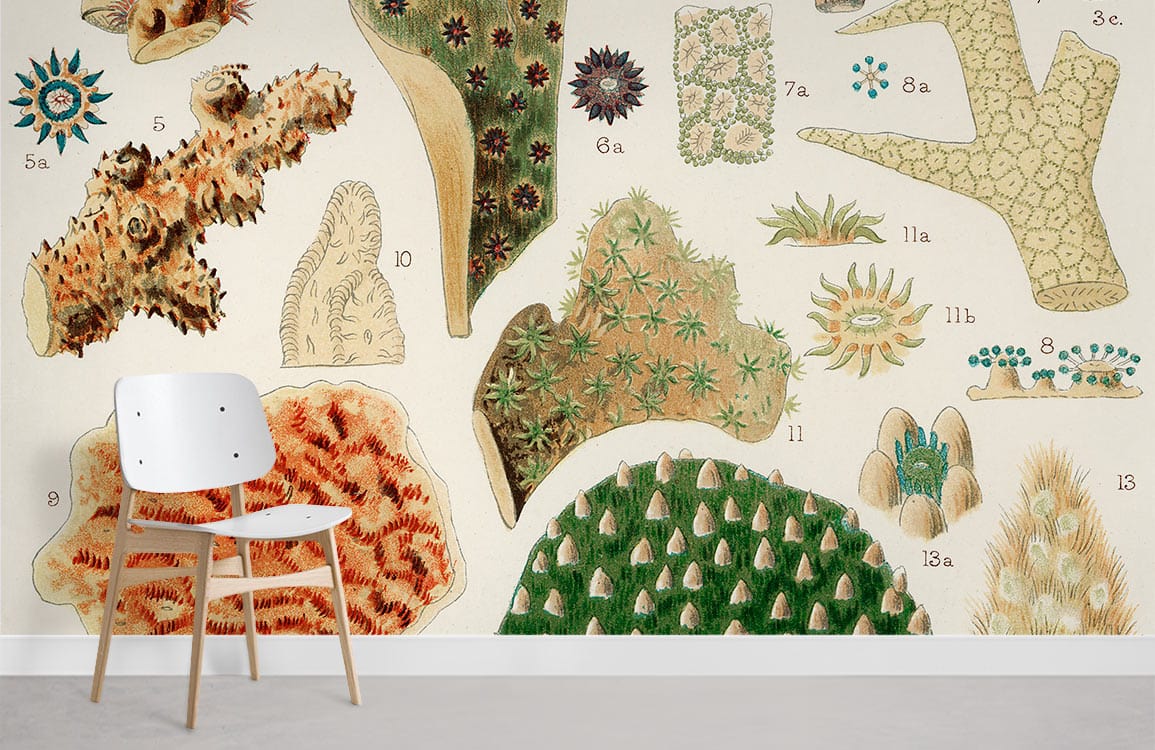 Vintage Coral Botanical Mural Wallpaper in elegant antique style, featuring a white modern chair, neutral flooring.