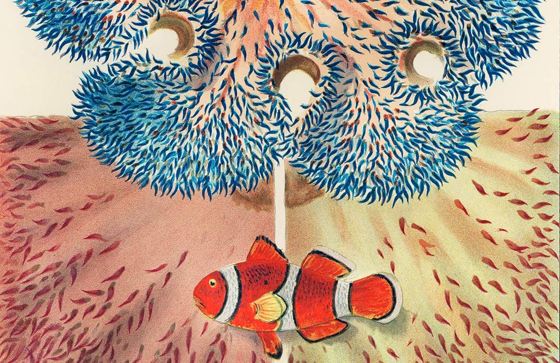 Vibrant Coral Reef Underwater Adventure Mural Wallpaper with Clownfish Design