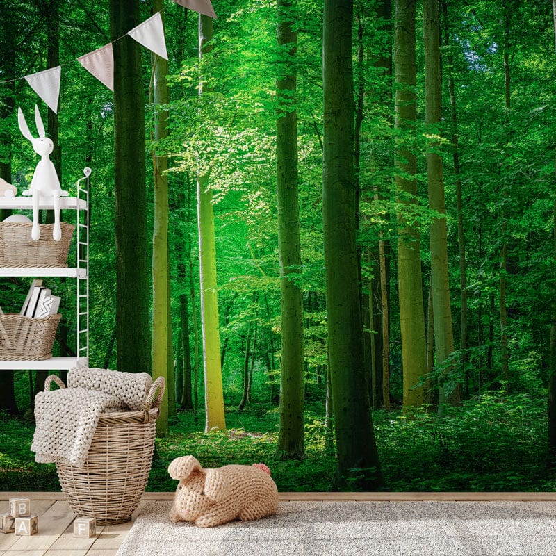 Enchanted Green Woodland Forest Mural Wallpaper for a serene room, with basket, shelf, and plush decor.