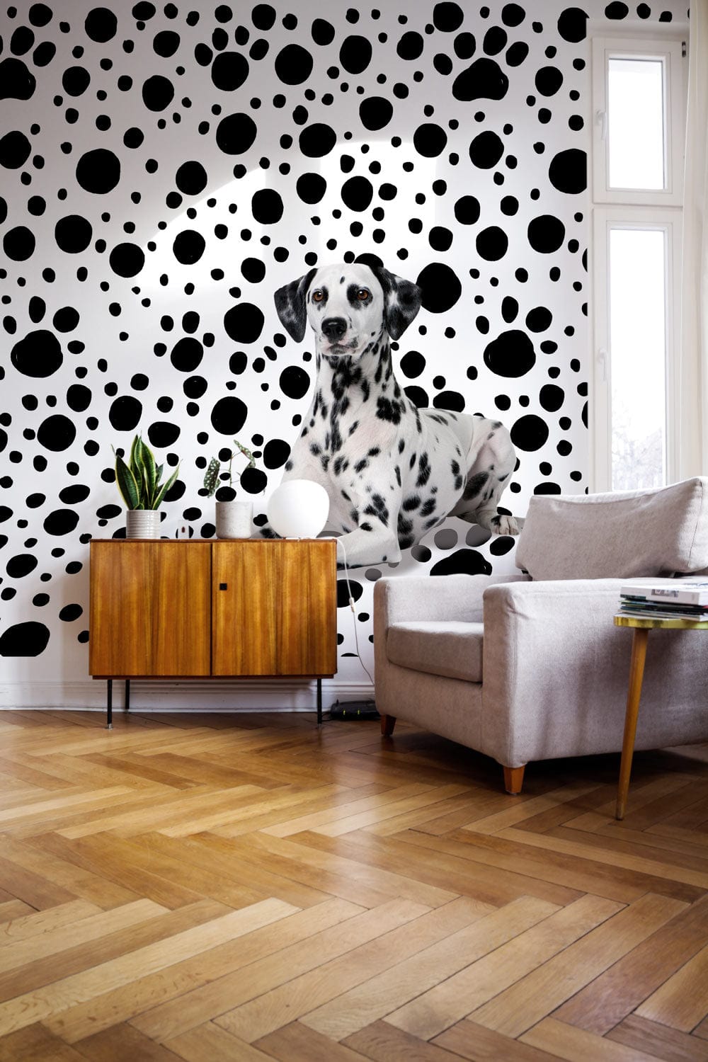 Monochrome Dalmatian dot wallpaper, grey sofa, wooden cabinet, wooden flooring in stylish living room.