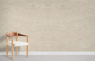 Beige Grained Concrete ll Wallpaper Mural