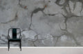 Bionic Grey Wallpaper Mural