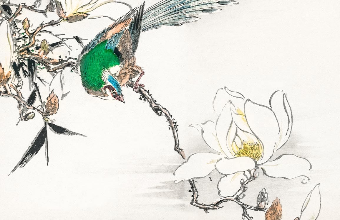 Elegant Green Bird and White Magnolia Oriental Watercolour Mural Wallpaper Design