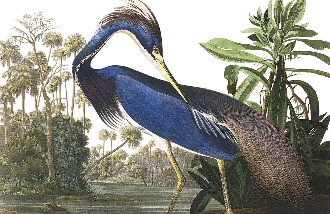 Elegant Blue Heron Tropical Nature Scene Mural Wallpaper for Home Decor