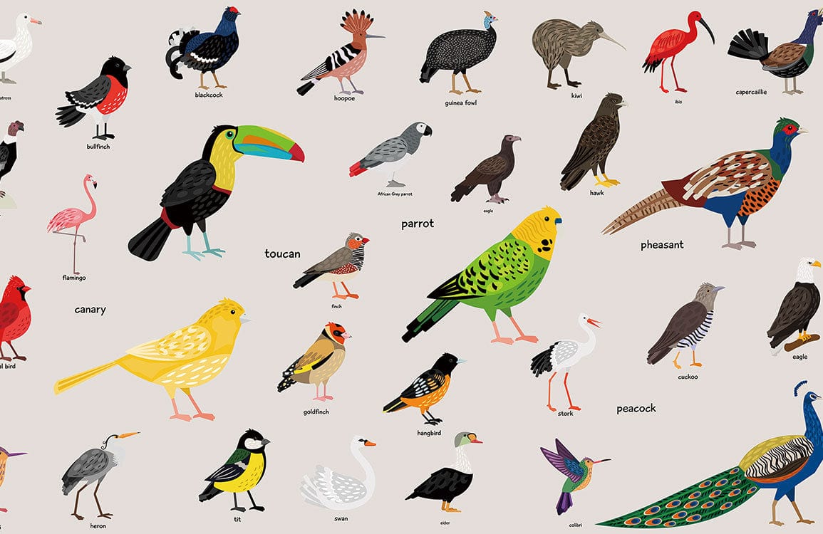 Colourful Exotic Birds Pattern Mural Wallpaper - Nature-Inspired Interior Design