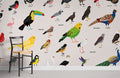 Birds Encyclopedia ll Wallpaper Mural
