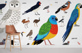 Birds Encyclopedia Wallpaper Mural
