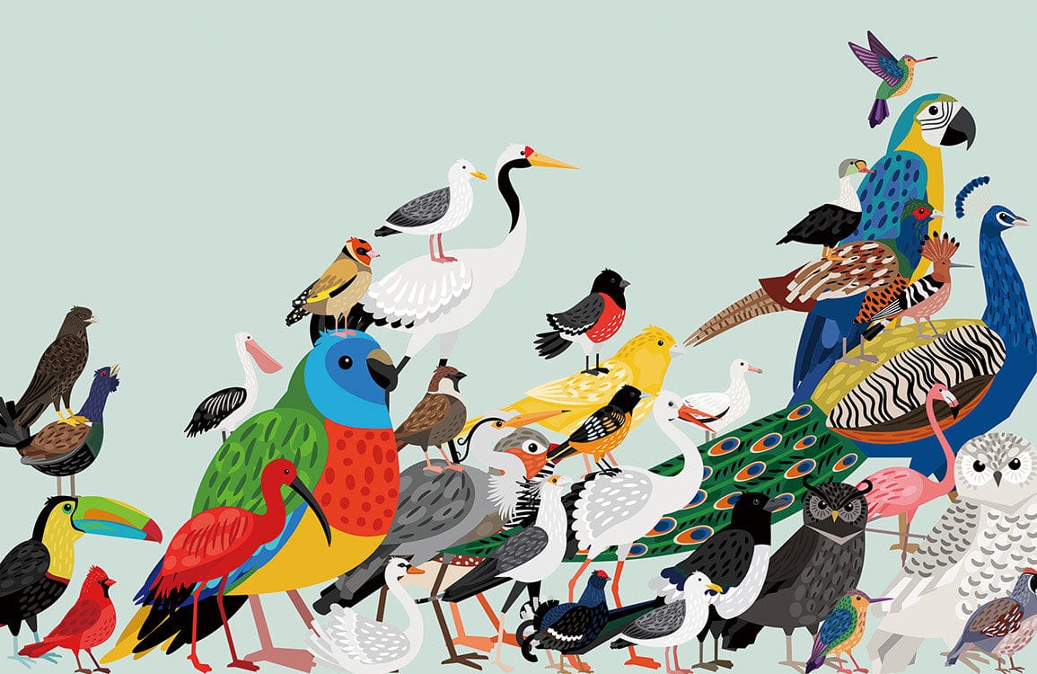Vibrant Multicoloured Tropical Birds Mural Wallpaper - Nature Inspired Design