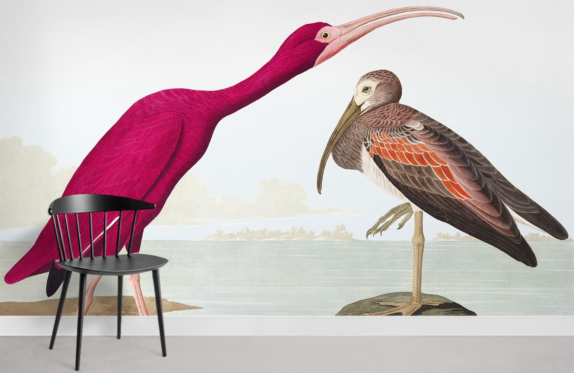 Vintage bird illustration wallpaper in scarlet tones, featuring elegant black chair, light grey flooring.