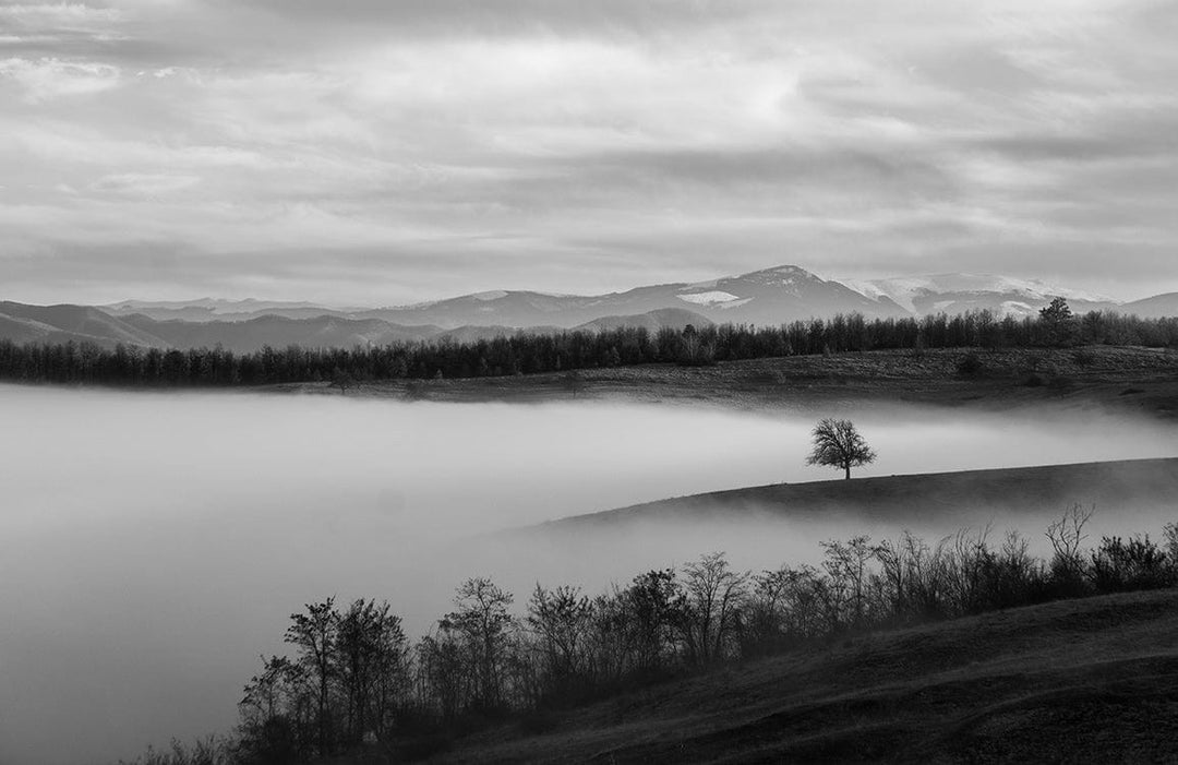 Monochrome Misty Mountain Landscape Mural Wallpaper - Serene Nature Art Décor