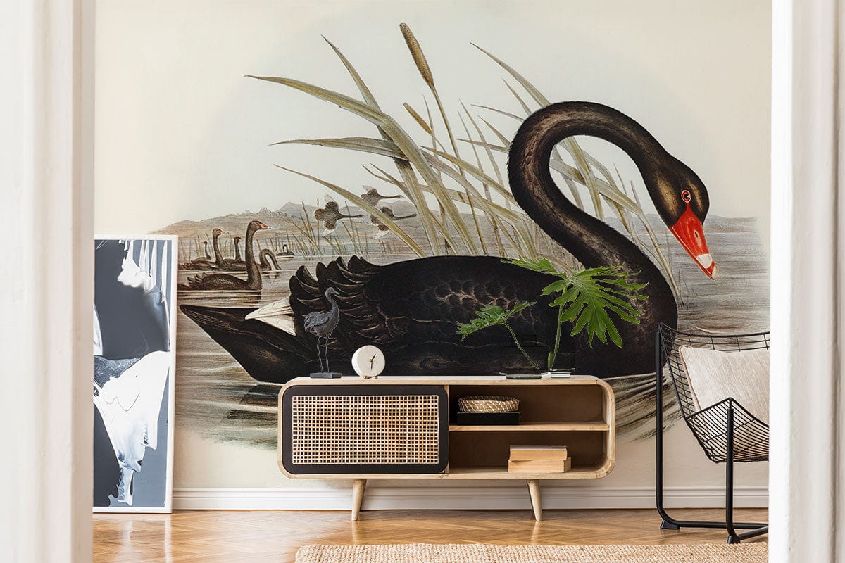 Elegant Black Swan Vintage Mural Wallpaper in stylish living room with wooden flooring and modern furniture.
