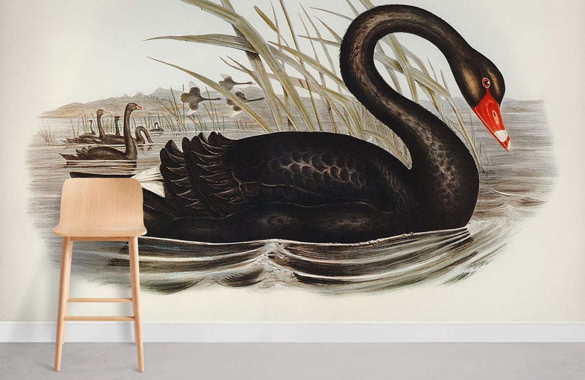 Elegant Black Swan Vintage Mural Wallpaper in room with light wood chair and grey floor.