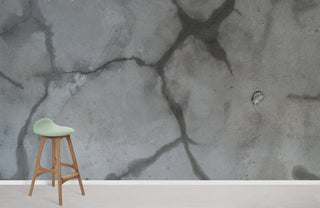Wet Wall Wallpaper Mural