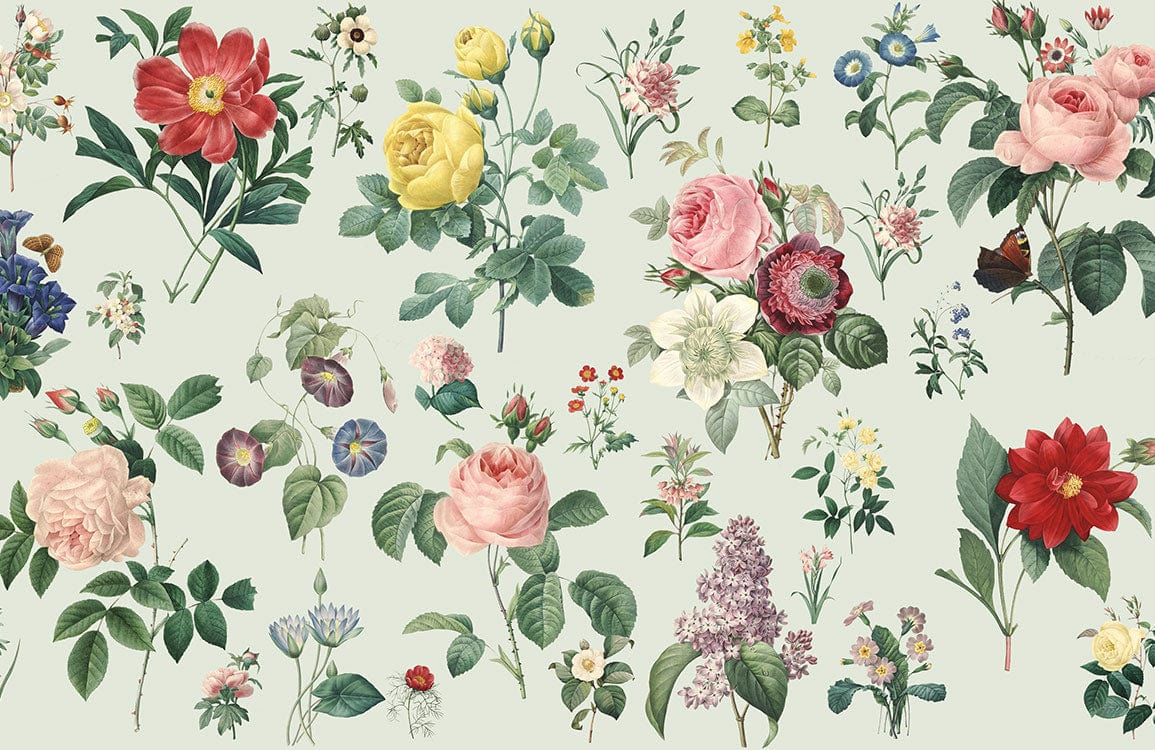 Vintage Floral Garden Wallpaper: Elegant, Colourful Blossoms on Pastel Green Background