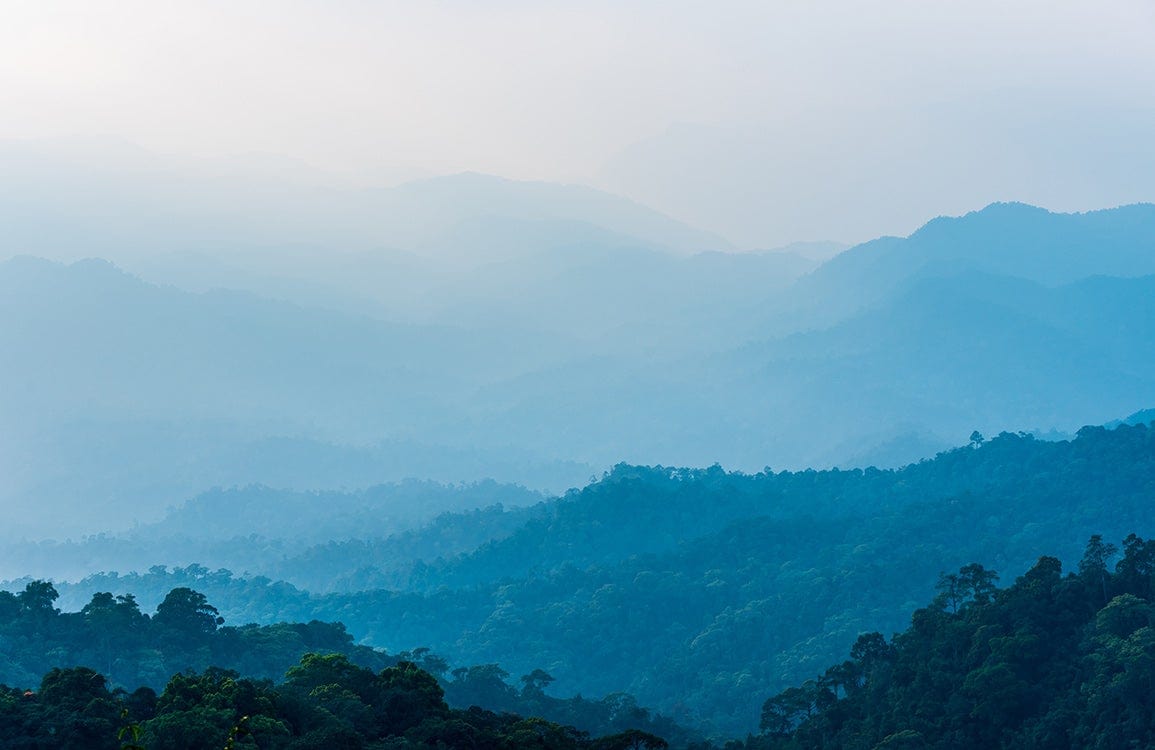 Serene Misty Blue Mountain Landscape Mural Wallpaper for Calm Interiors