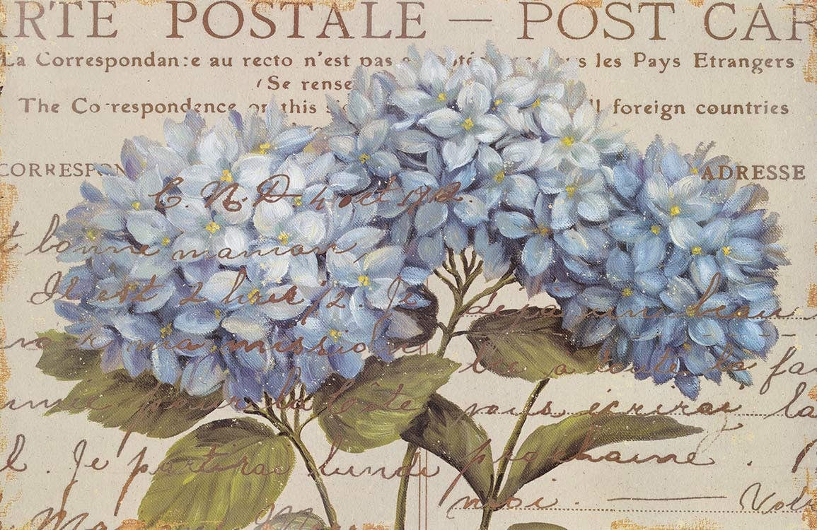Vintage Blue Hydrangea Floral Postcard Mural Wallpaper with Script Design