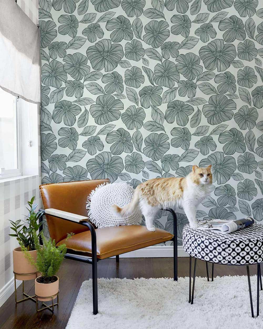 Elegant sage green floral wallpaper with leather chair, cat, modern ottoman, and wood flooring in living room.